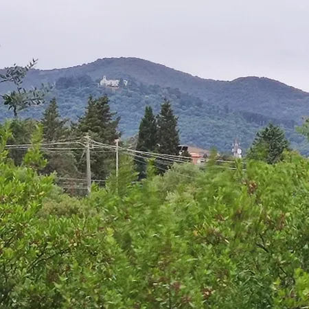 La Casa Tra Gli Ulivi דירה איגלסיאס